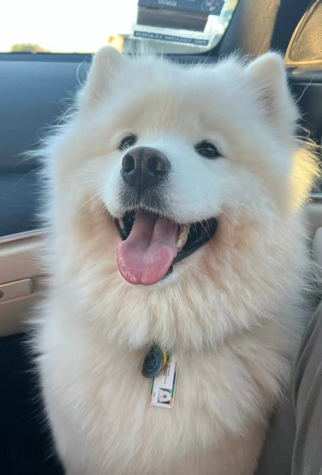 Sisi smiling in the car